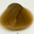 9.2 Light Golden Blonde